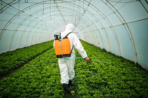 Best Affordable Pest Control Services  in Asheboro, NC