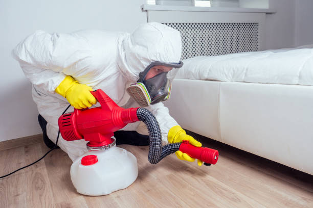 Best Wasp Removal Services  in Asheboro, NC