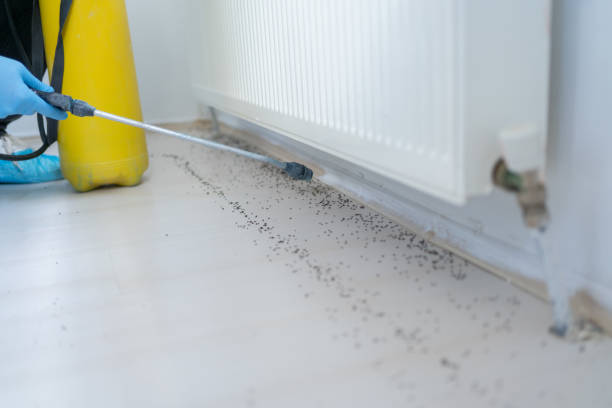 Best Exterminator Services  in Asheboro, NC